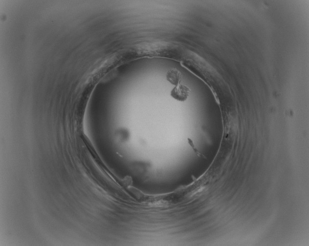 X0000074280452200609081831