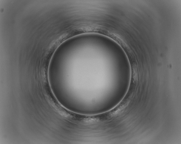 X0000074280453200609081831