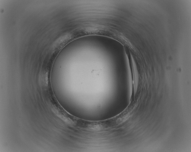 X0000074280454200609081831