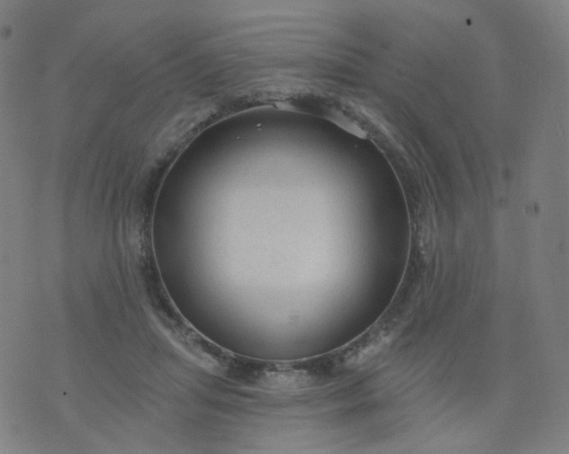 X0000074280455200609081831