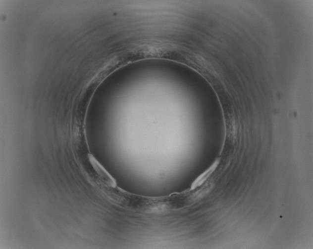 X0000074280456200609081831