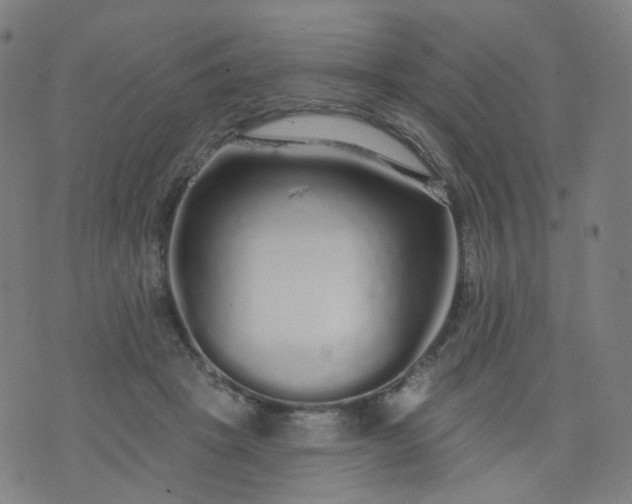 X0000074280457200609081831