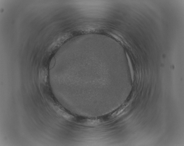 X0000074280458200609081831