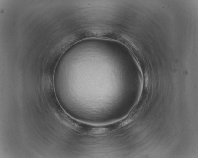 X0000074280459200609081831