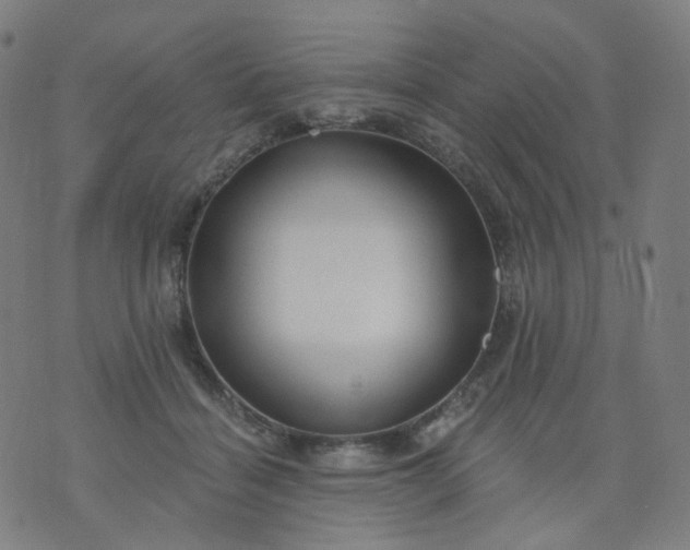 X0000074280460200609081831