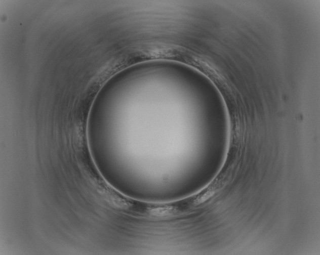 X0000074280461200609081831