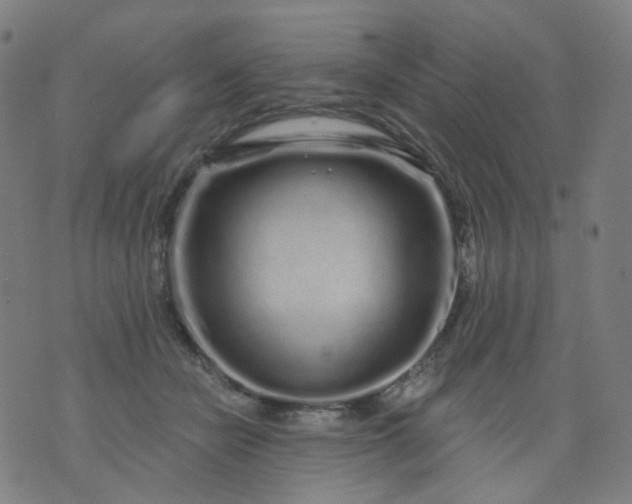 X0000074280462200609081831