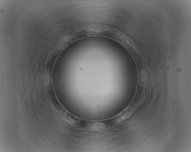 X0000074280463200609081831