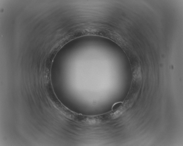 X0000074280464200609081831