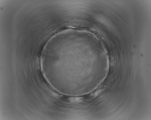 X0000074280465200609081831