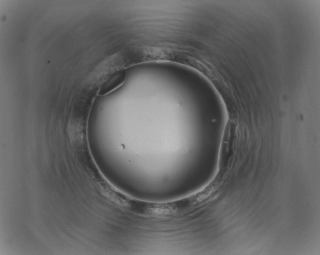 X0000074280466200609081831