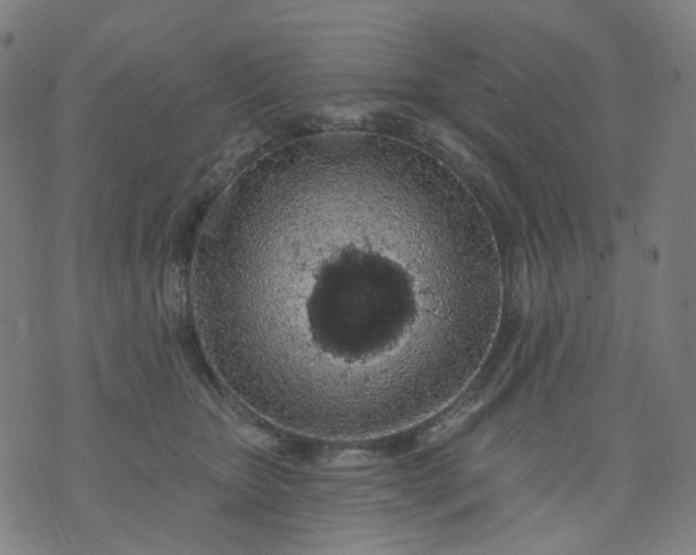 X0000074280467200609081831