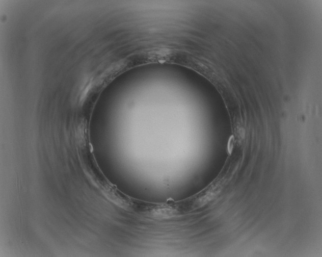 X0000074280468200609081831