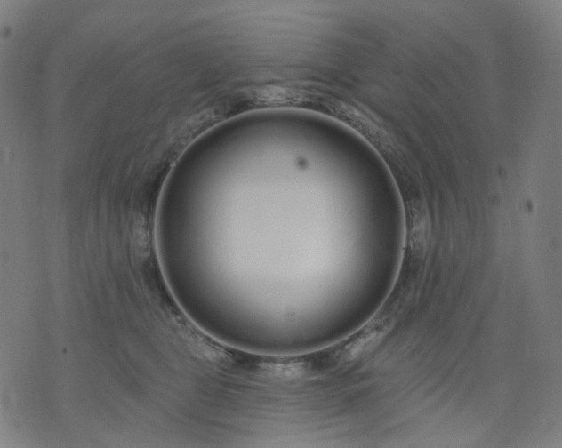 X0000074280469200609081831