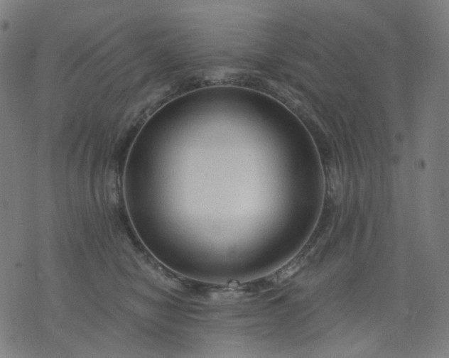 X0000074280470200609081831