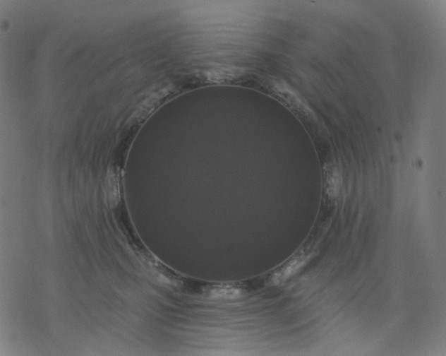 X0000074280471200609081831