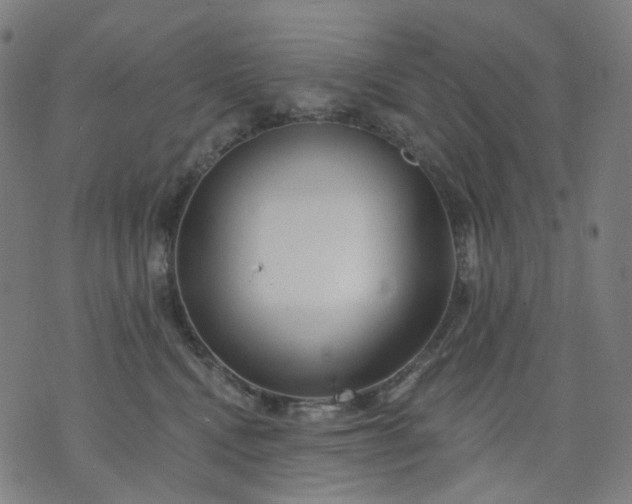 X0000074280472200609081831