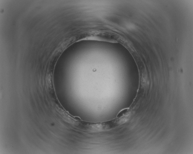 X0000074280473200609081831