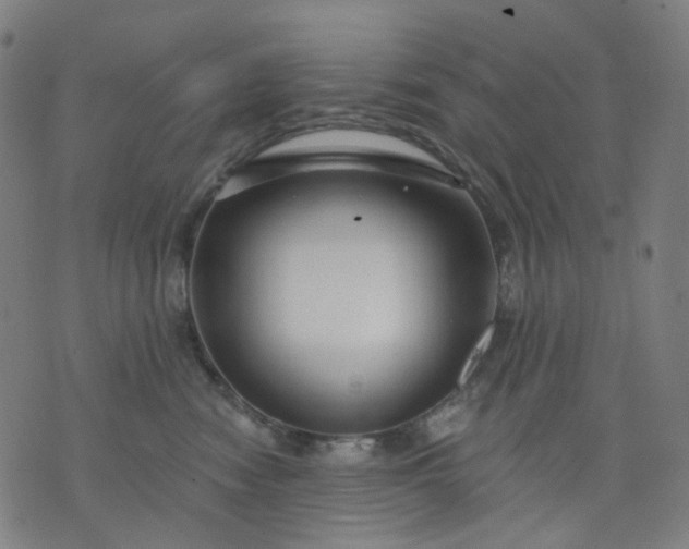 X0000074280474200609081831