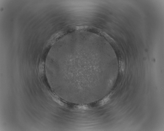 X0000074280475200609081831