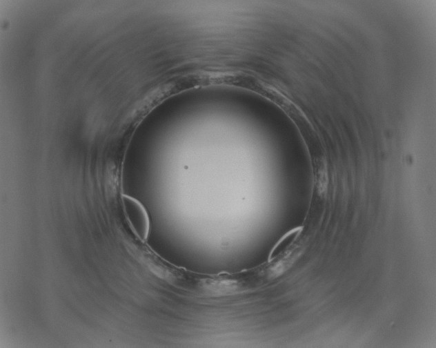 X0000074280476200609081831