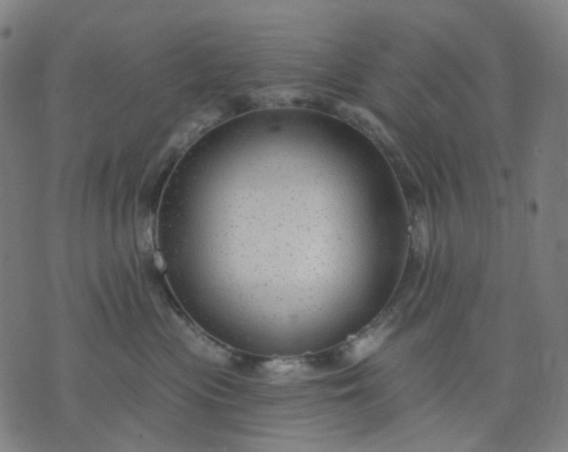 X0000074280477200609081831