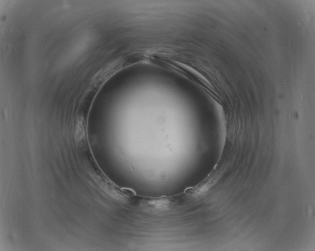 X0000074280478200609081831