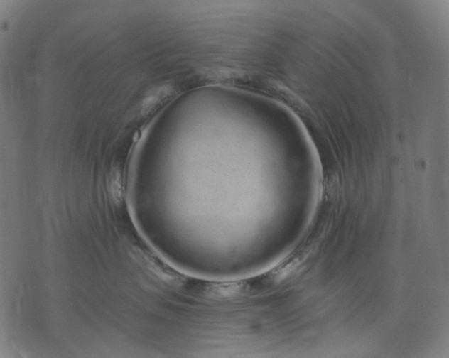 X0000074280479200609081831