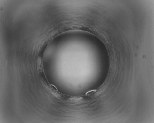 X0000074280480200609081831