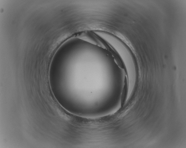 X0000074280481200609081831