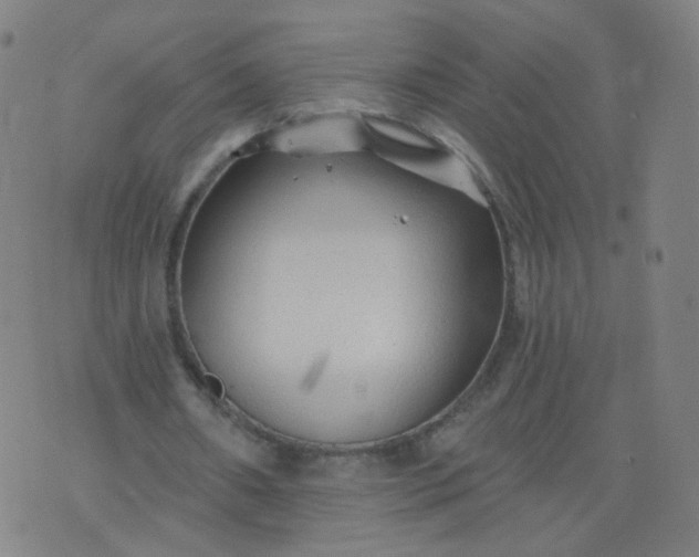 X0000074280482200609081831