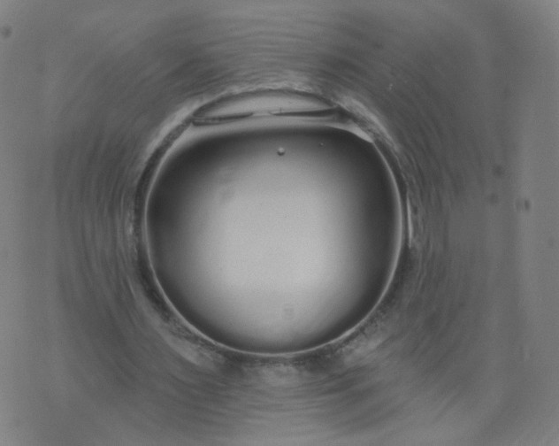 X0000074280483200609081831