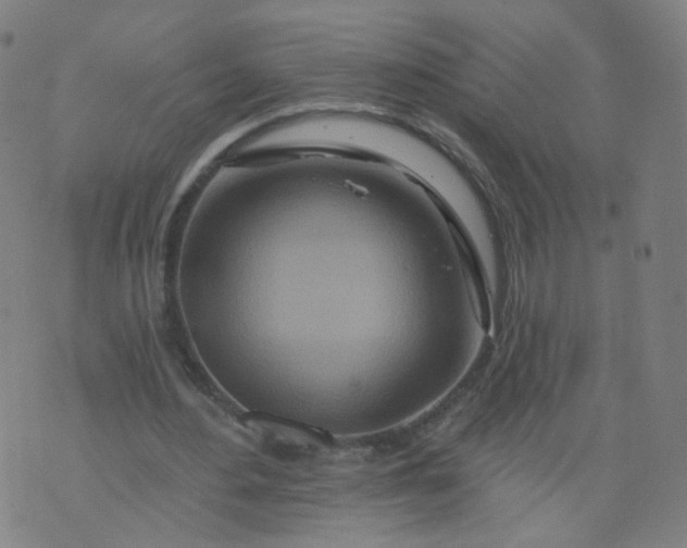 X0000074280484200609081831