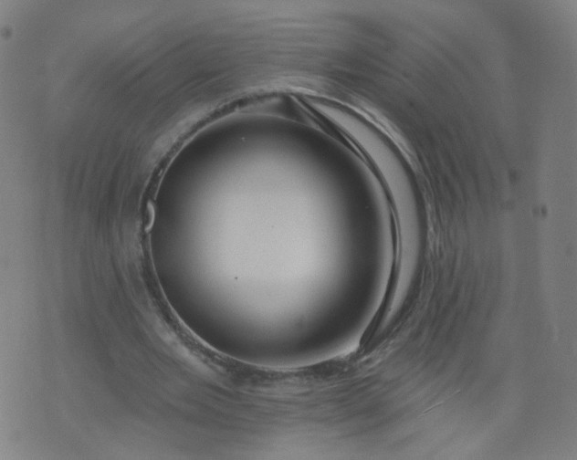 X0000074280485200609081831