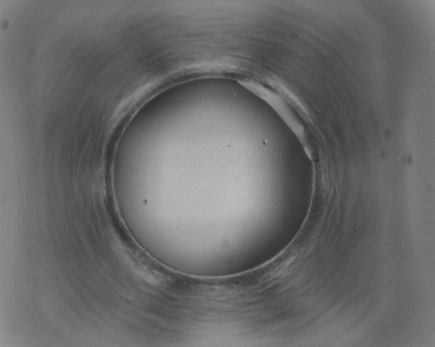 X0000074280486200609081831