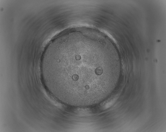 X0000074280487200609081831