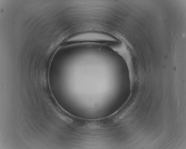 X0000074280489200609081831