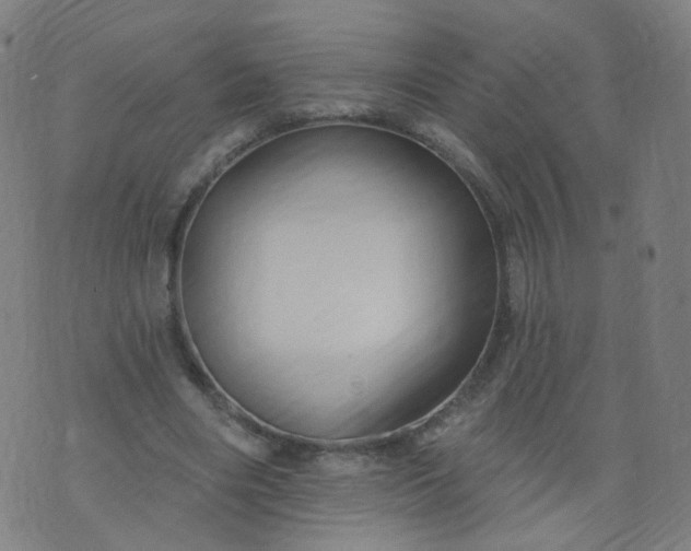 X0000074280490200609081831