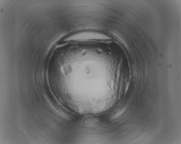 X0000074280491200609081831