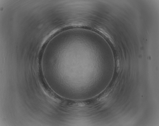 X0000074280492200609081830