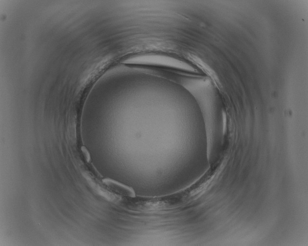 X0000074280493200609081830