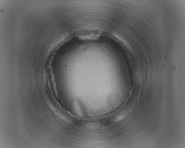 X0000074280494200609081830