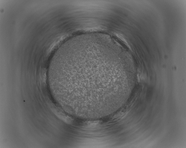 X0000074280495200609081830