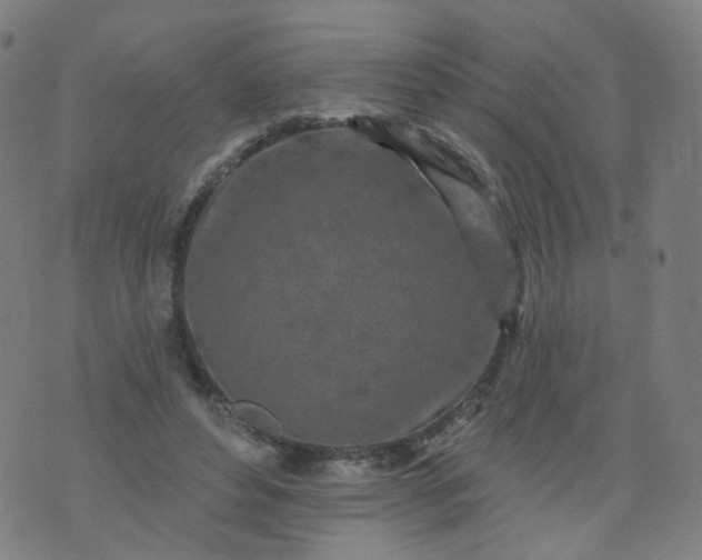 X0000074280496200609081830