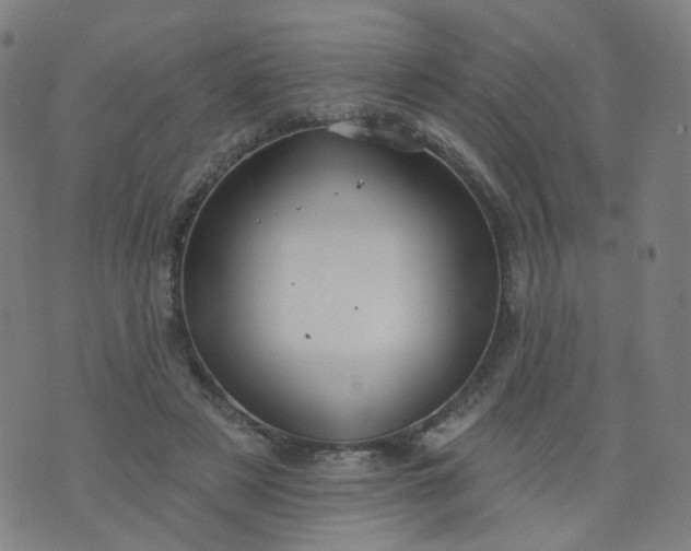 X0000074280497200609081830