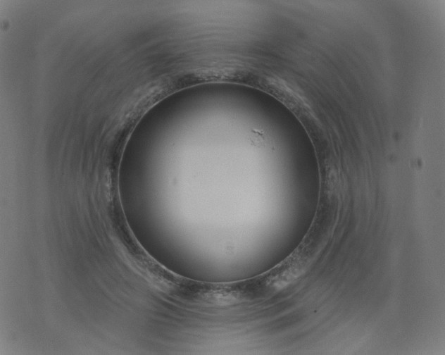 X0000074280498200609081830