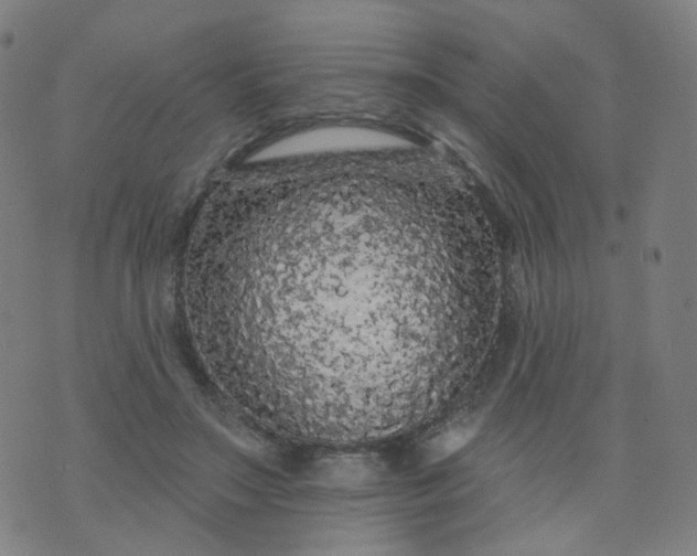 X0000074280499200609081830