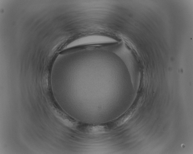 X0000074280501200609081830