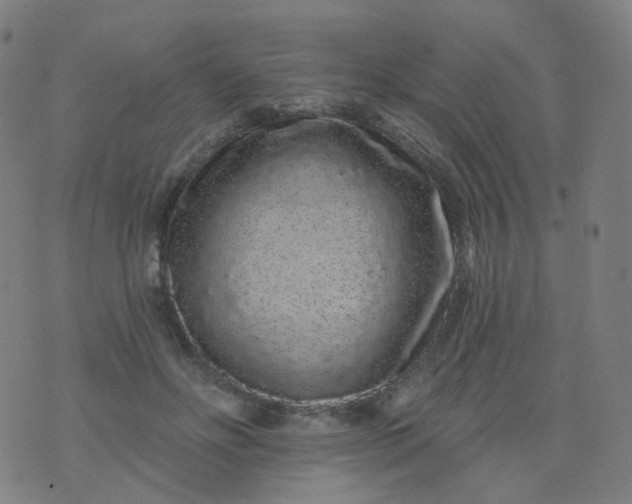 X0000074280502200609081830