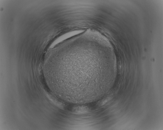 X0000074280503200609081830